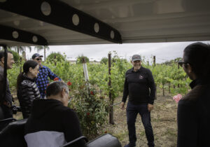 winery owner giving a tour of the vineyards