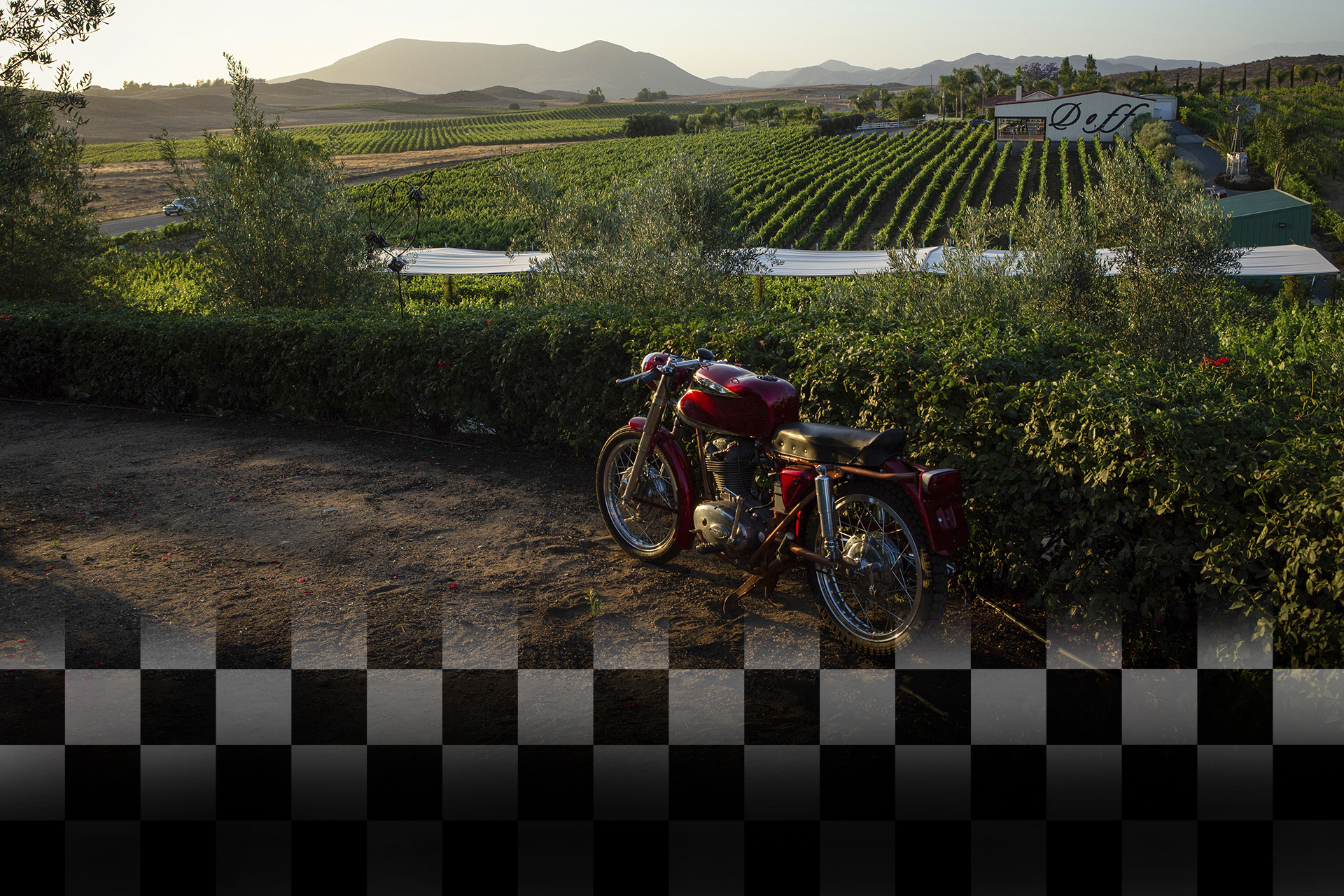 vintage Ducati motorcycle on a winery vineyard hilltop