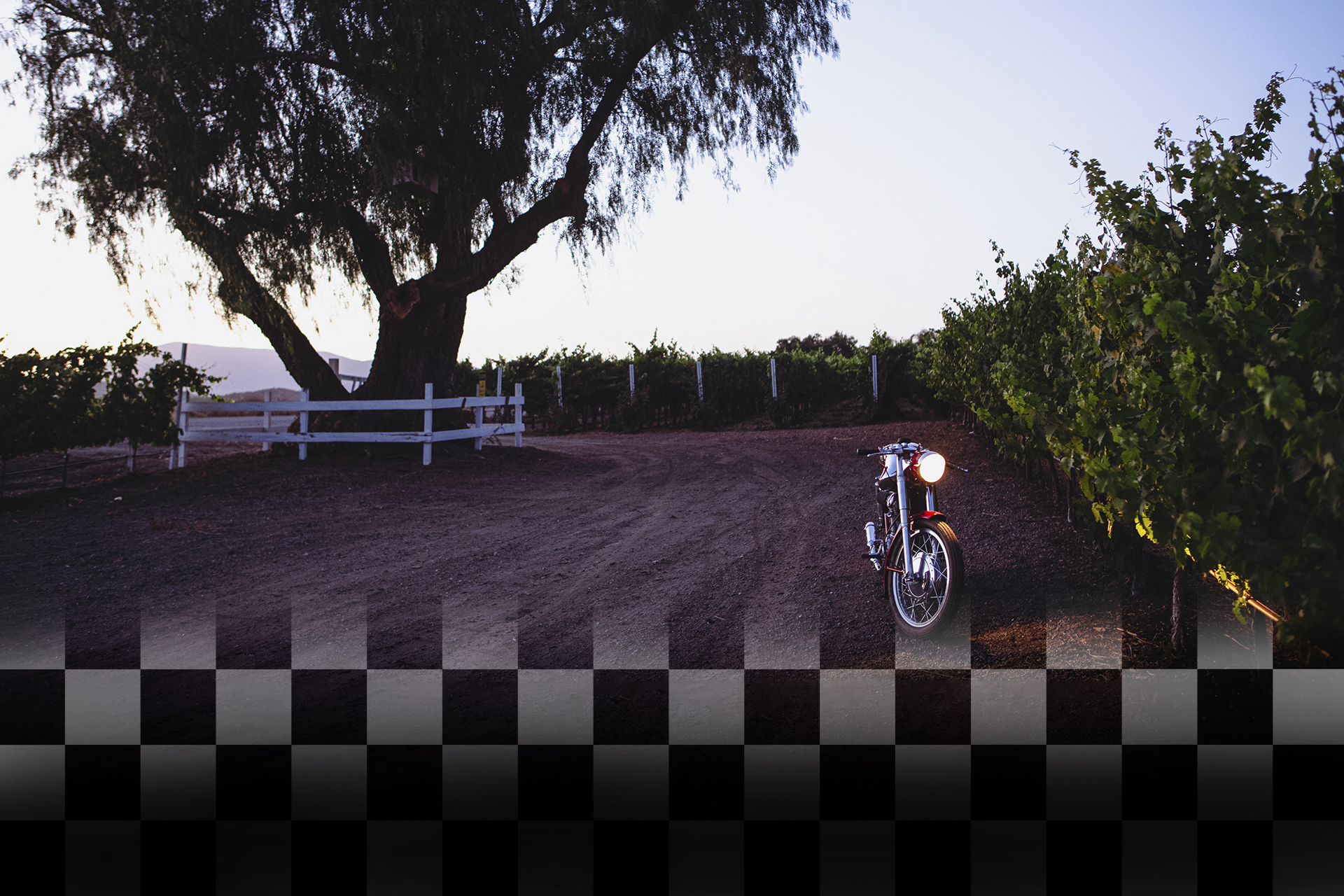 vintage Ducati motorcycle in a winery vineyard